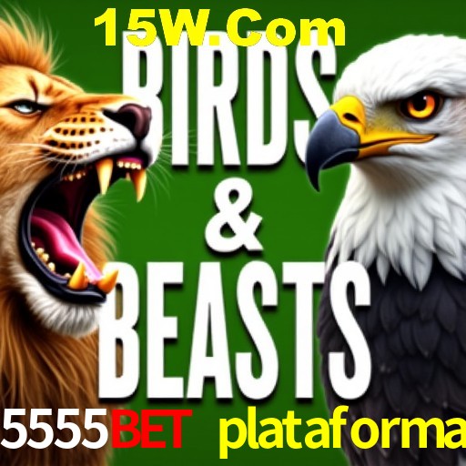 Casino VIP 5555bet plataforma